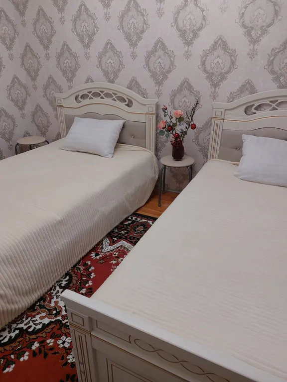 Уютная 3-комнатная квартира в центре