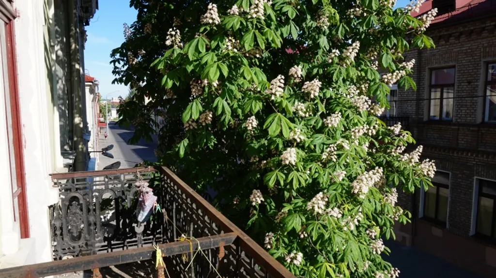 Уютная квартира в историческом центре