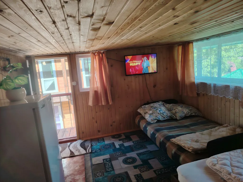 Летний номер с видом на березовый лес