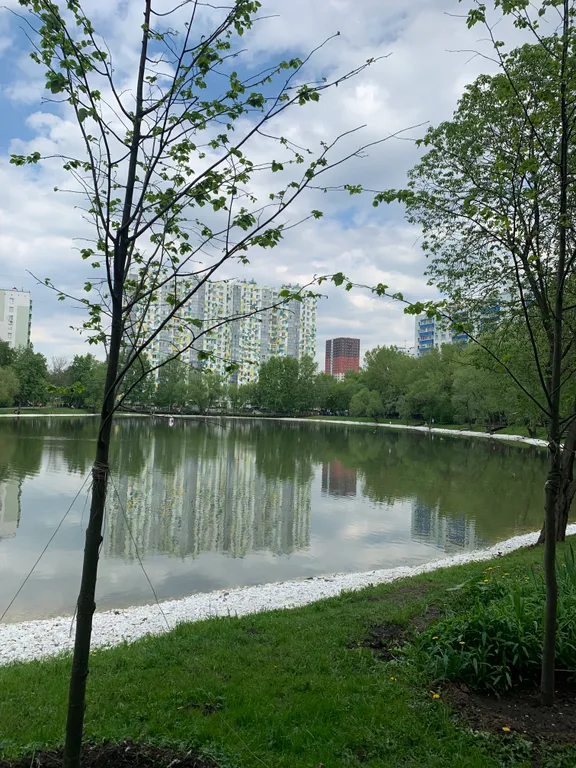 Квартира Квартира Тихая уютная студия с парковкой в Кунцево — Москва
