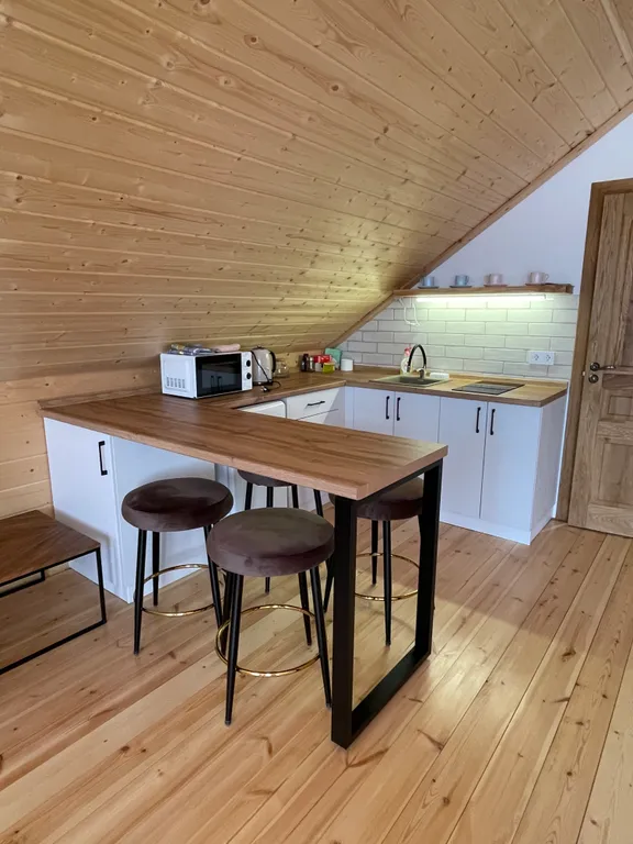 Просторные апартаменты с видом на  Спасо-Евфимиев монастырь