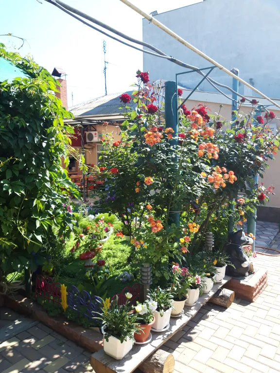 Комфортабельные апартаменты