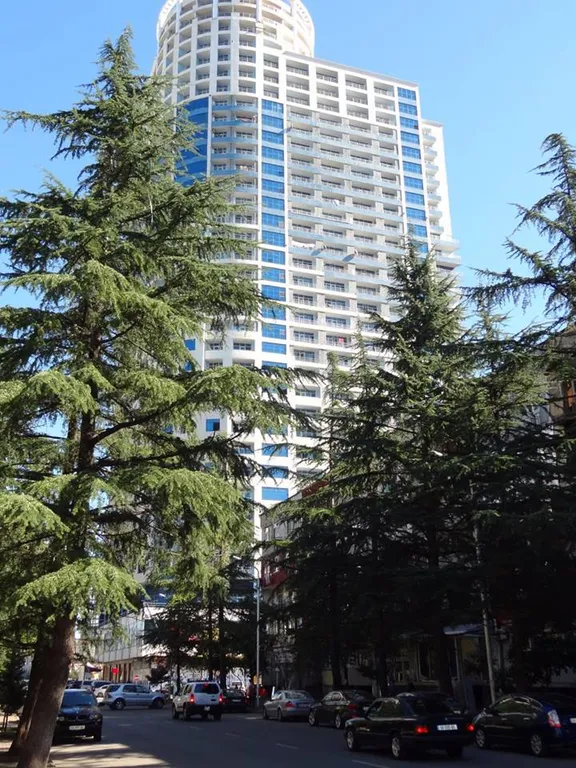 1-комнатная Квартира — аренда посуточно в Батуми