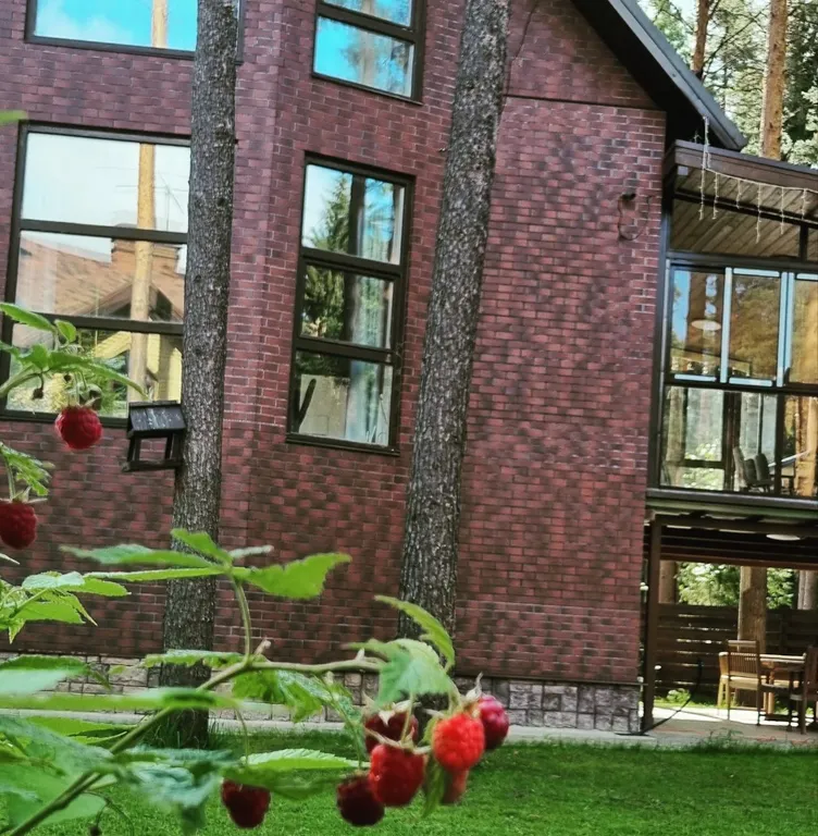 Дом на Мельнице