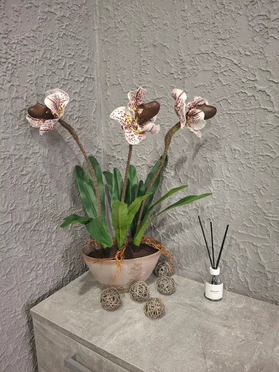 Уютная квартира на набережной