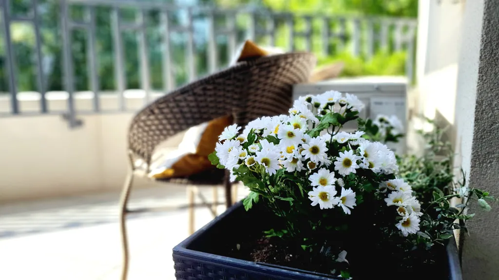 Люкс с террасой в Baden Spa