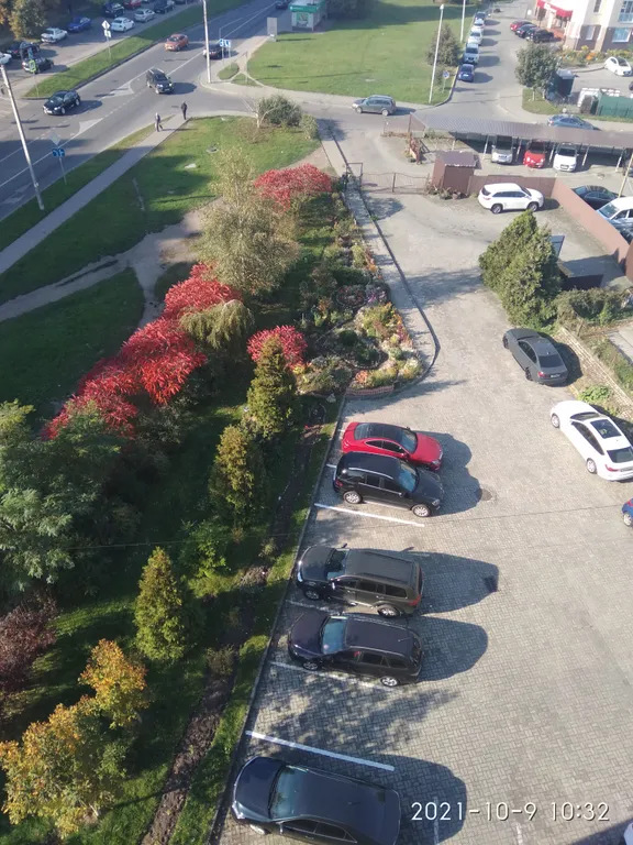 Квартира Уютная квартира — Калининград