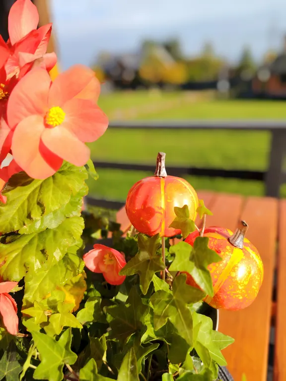 Коттедж Уютный новый дом напротив крепости Орешек — им. Морозова