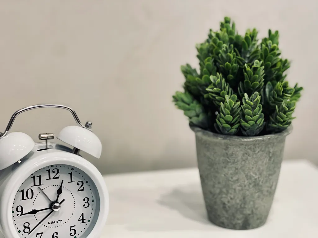 Новая квартира с панорамным видом