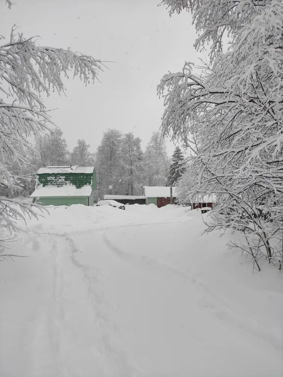 Киви со сливками