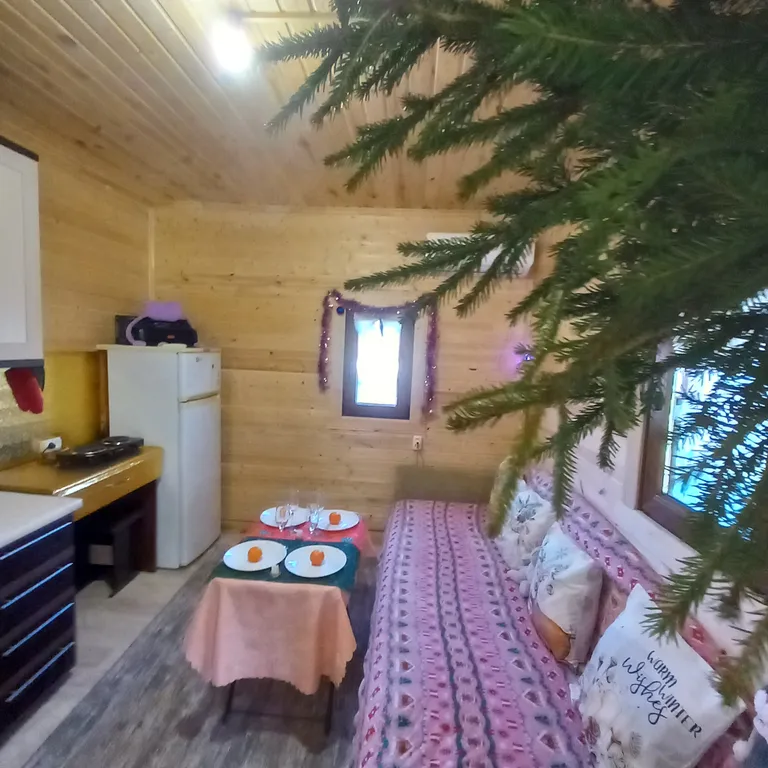 Отдых в уютном, уединенном домике на 6 сотках.