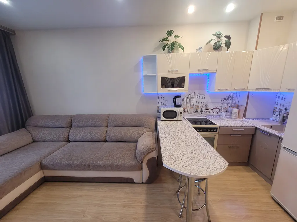 Большая уютная студия