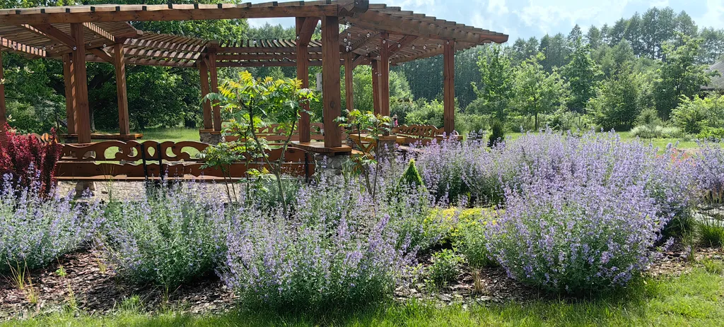 Дом в Беловежской пуще