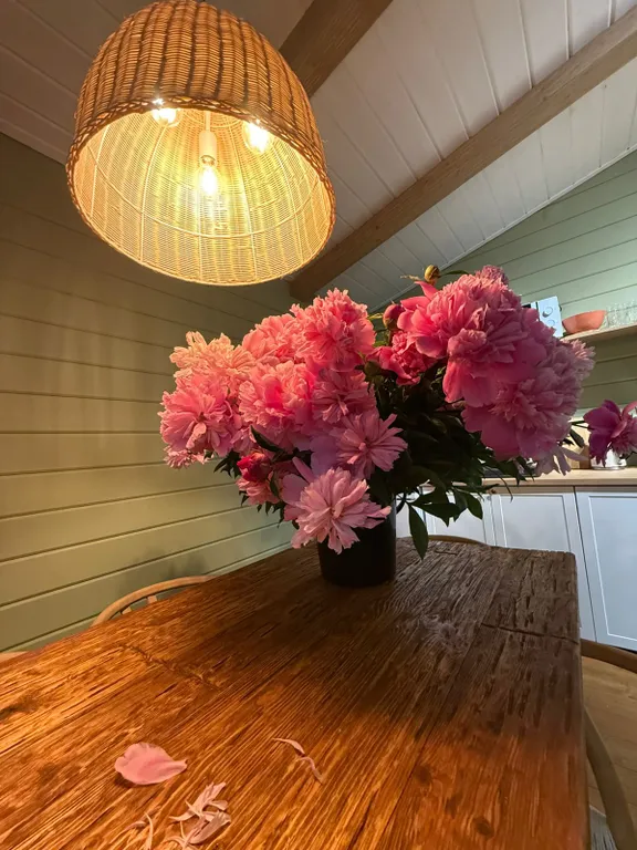 Домик в горах на берегу горной речки