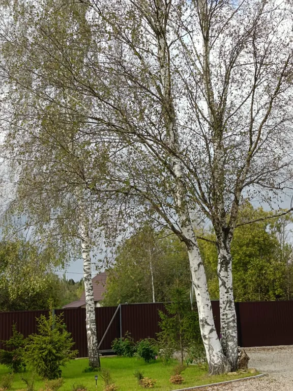 Гостевой дом кутьино