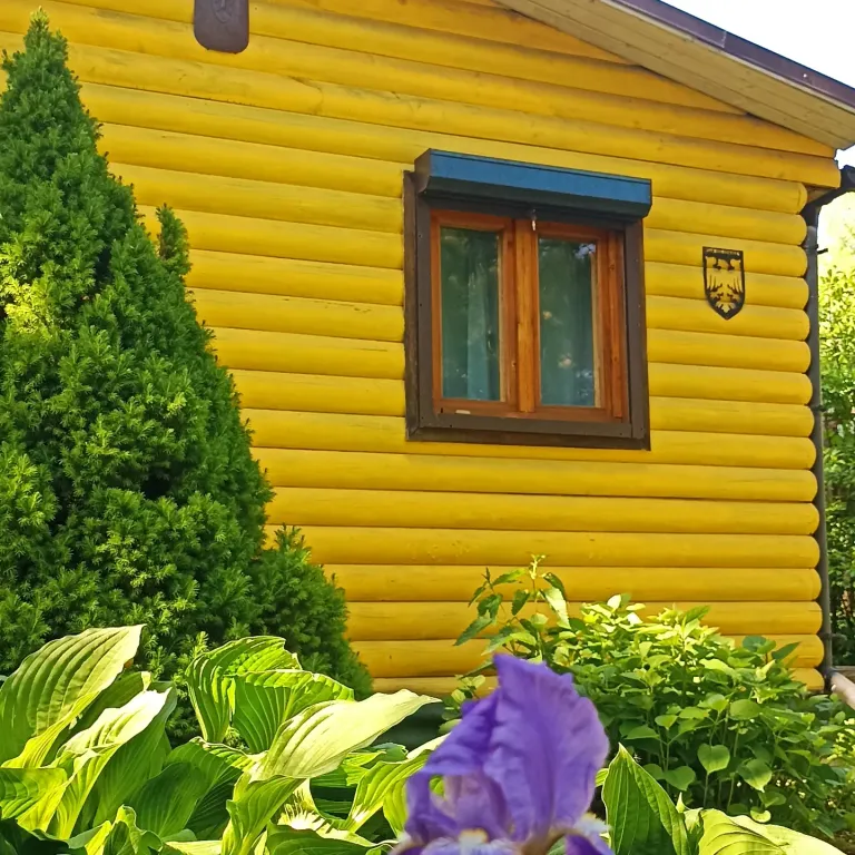 Коттедж Коттедж Курортное шале в писательском Переделкино — Москва