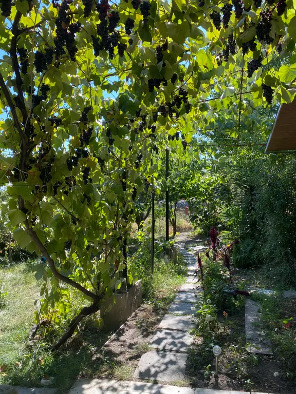 Двухэтажный дом с верандой, огороженной парковкой и сауной