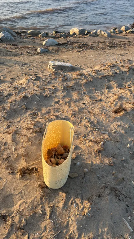 Атмосферный дом с двумя изолированными спальнями