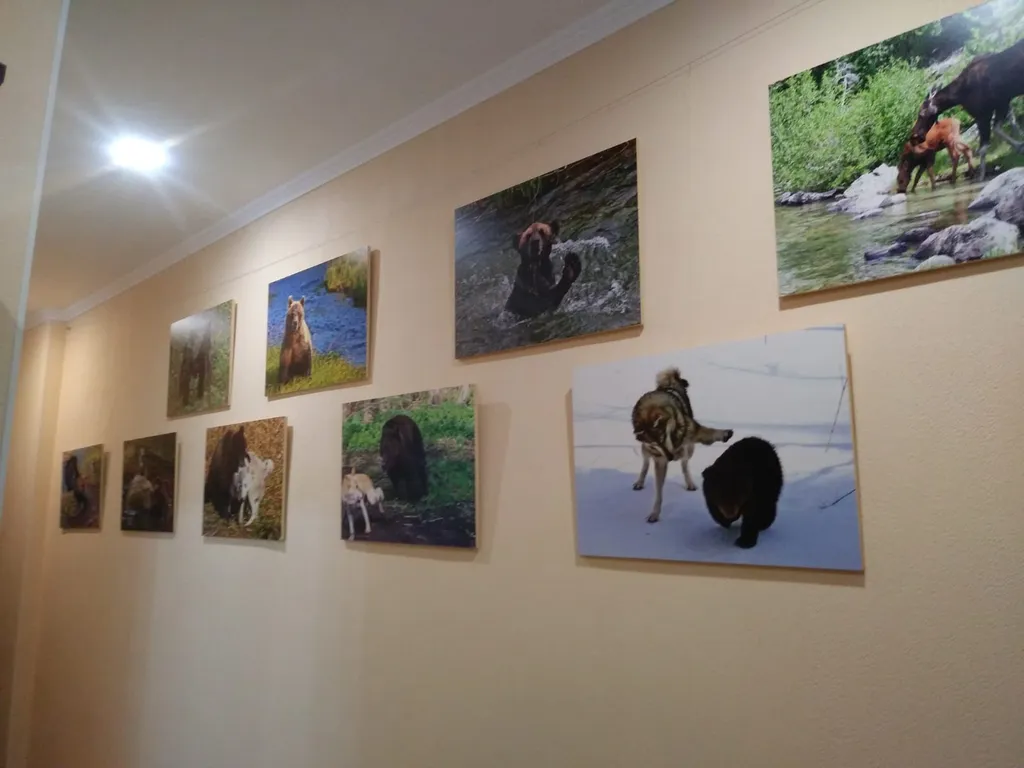 Квартира Уютная просторная квартира в центре города в историческом районе Хуфен — Калининград