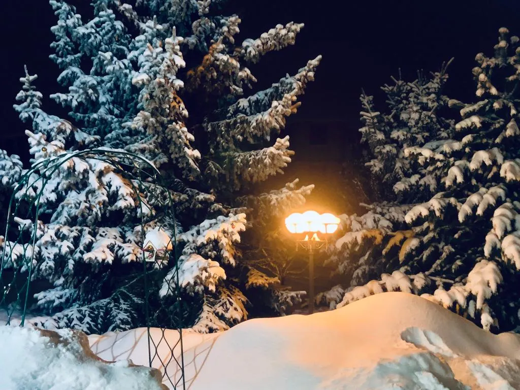 Дом с бассейном и сауной в 5 минутах на автомобиле до Коломенского Кремля