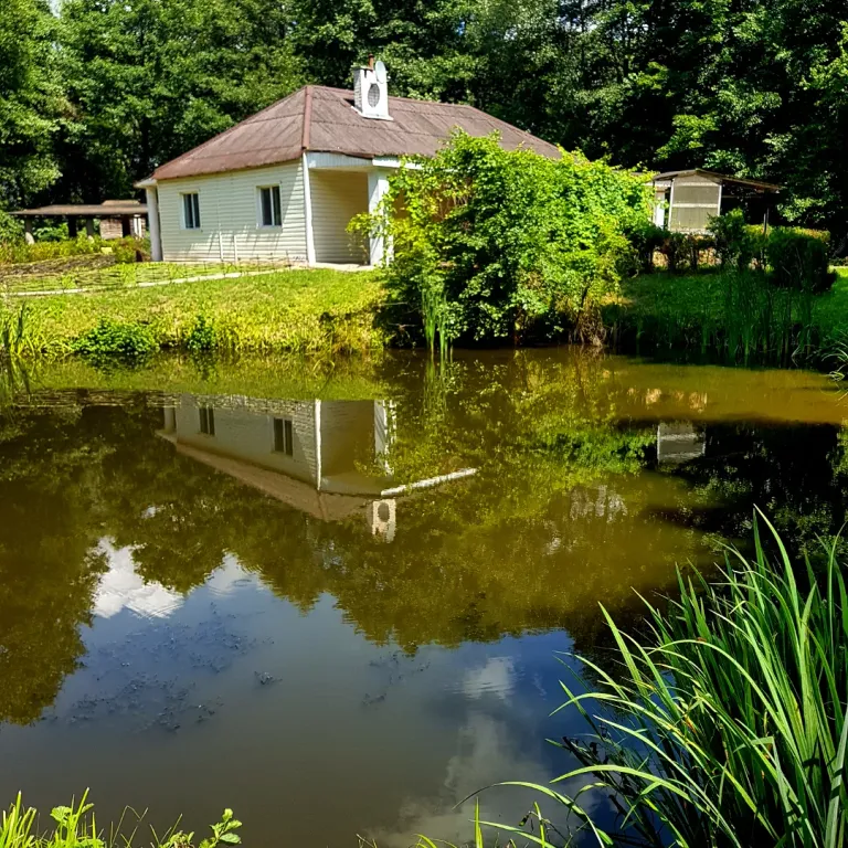 Усадьба Домик у пруда