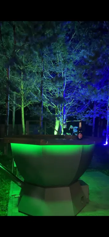 Дом с баней и горячей купелью на дровах