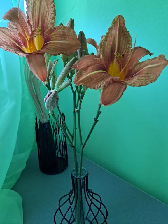 Уютная квартира со свежим ремонтом