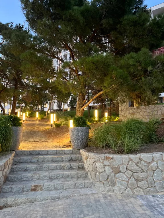 Квартира-студия в окружении хвойного леса и гор.