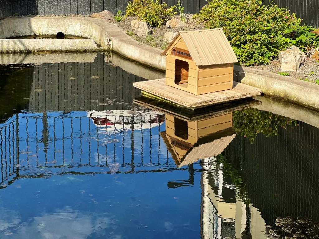 Квартира на набережной