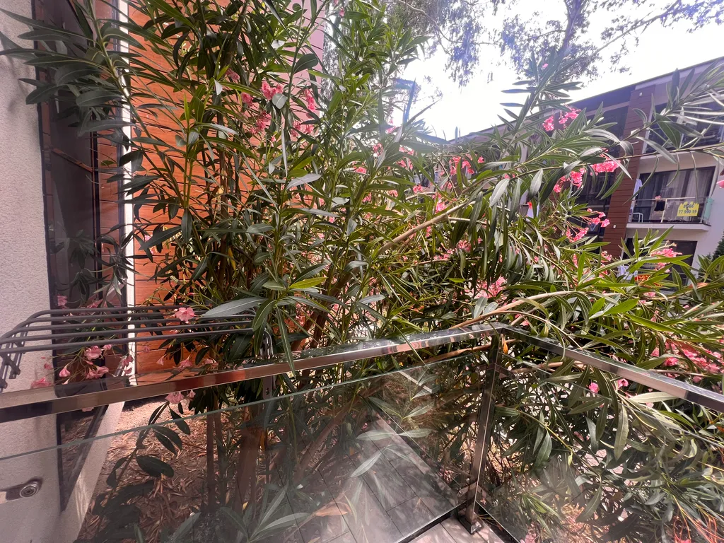 Sezam Apartments Madrid 11