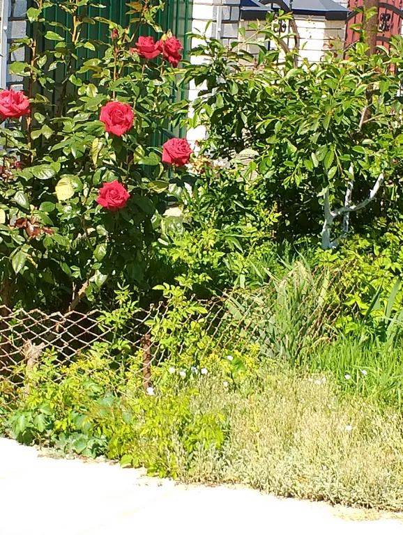 Квартира Квартира Солнечная студия на Азовском море — Кучугуры