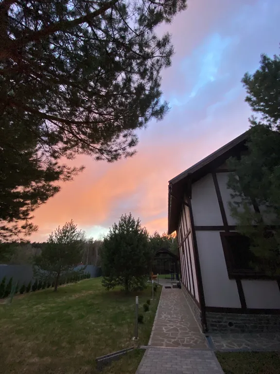 Дом в окружении соснового леса