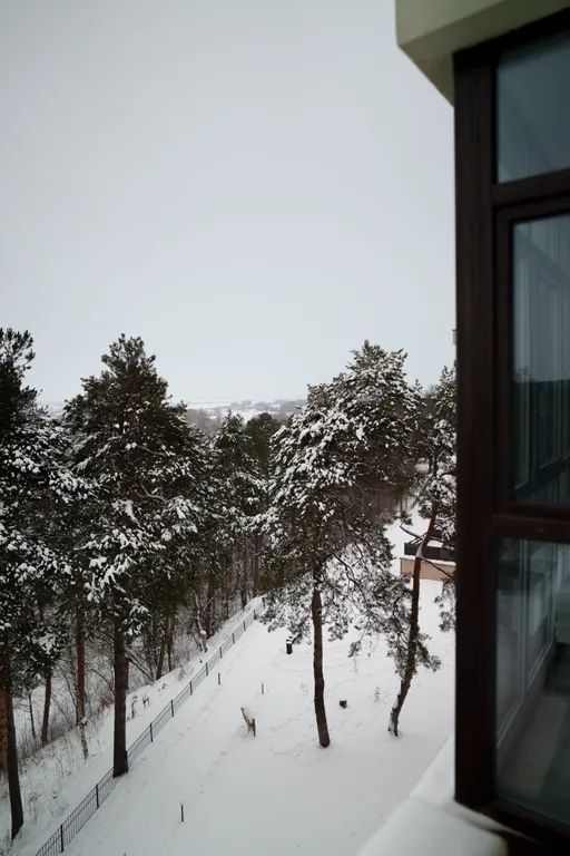 Видовая квартира в сосновом лесу