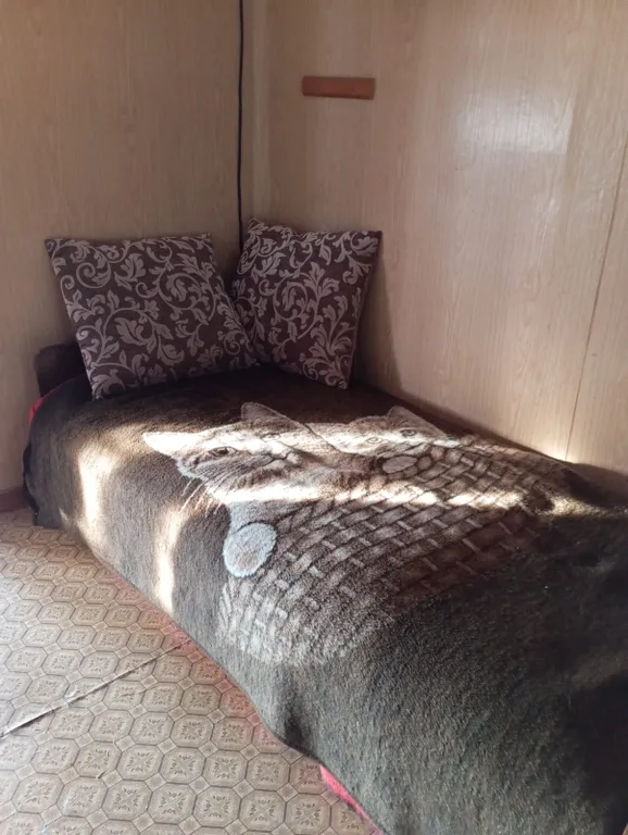 Коттедж Коттедж Дача в Новодашково — Ярославль