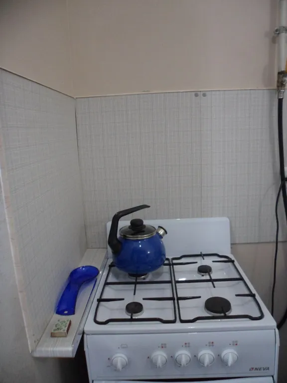 Современная квартира в старинном доме