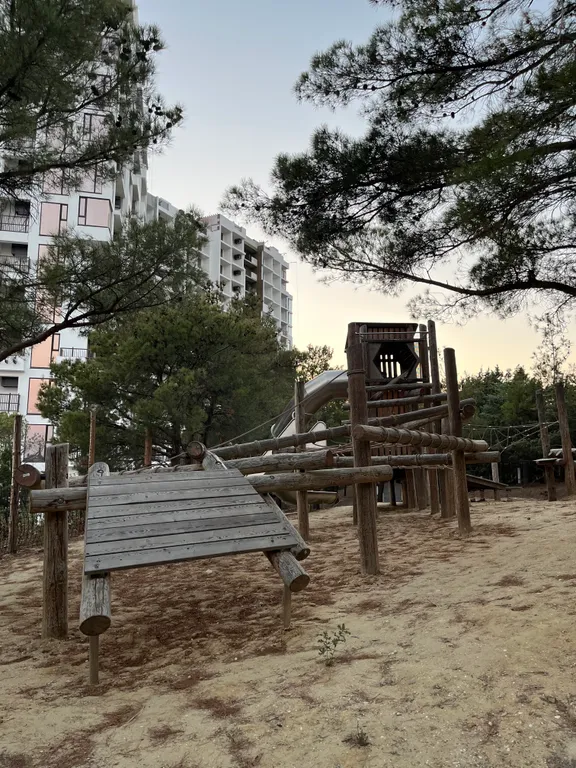 Квартира-студия в окружении хвойного леса и гор.