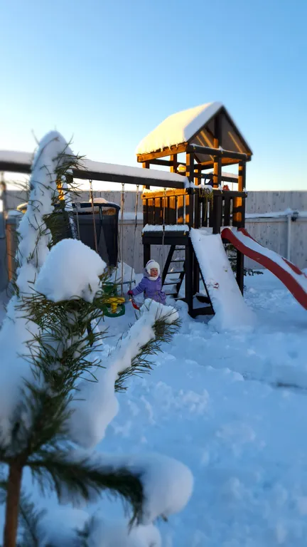 Дом с бассейном и сауной у леса