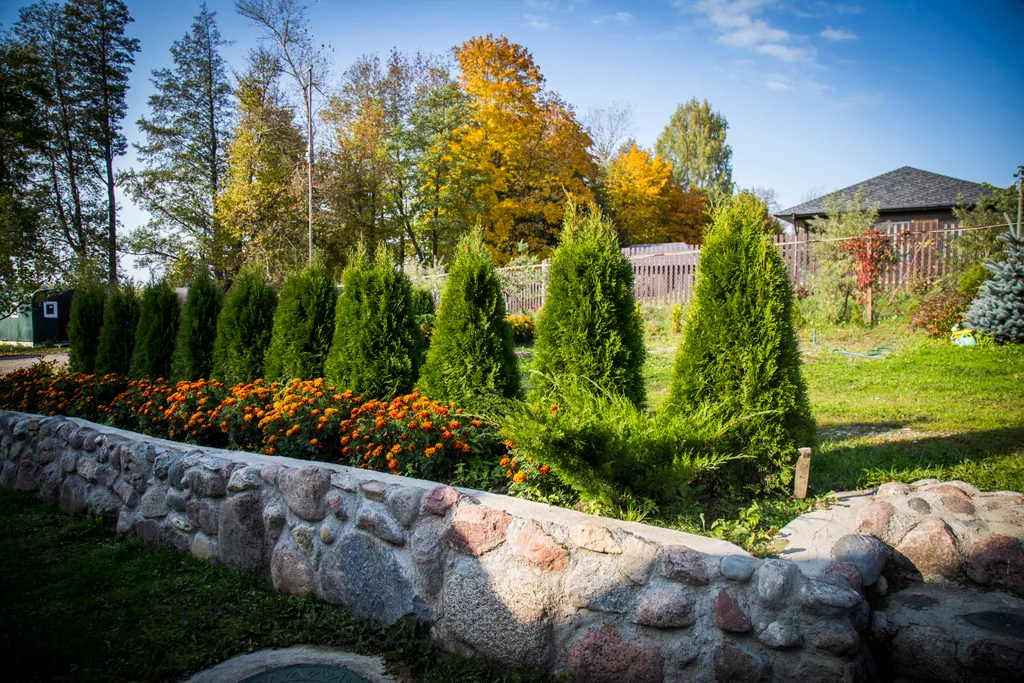 Квартира 1-комнатная Квартира — Луга