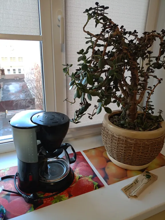 Уютная квартира в историческом центре города