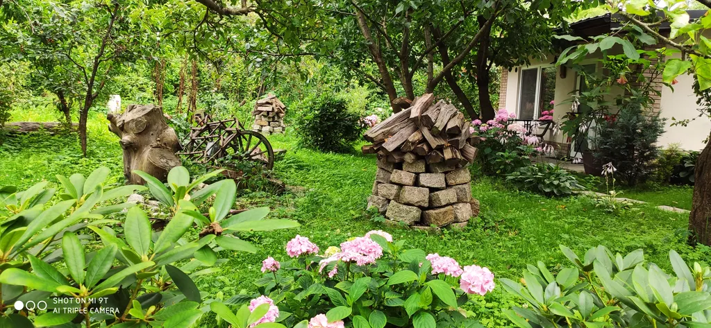 Студия с видом на сад