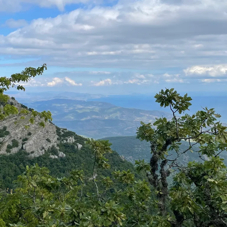Коттедж Домик в горах Cherrychillvillage — Лучистое