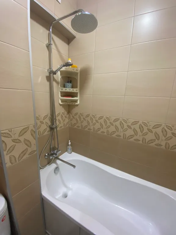 Уютная однокомнатная квартира в исторической части города