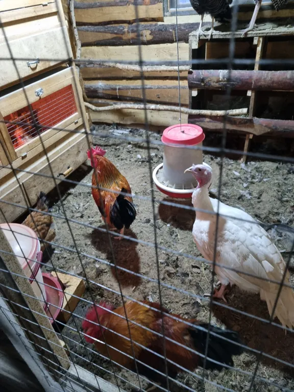 Усадьба в Соколова