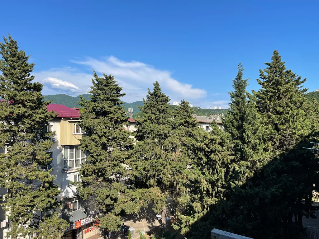 Черепаха - квартира в центре Туапсе