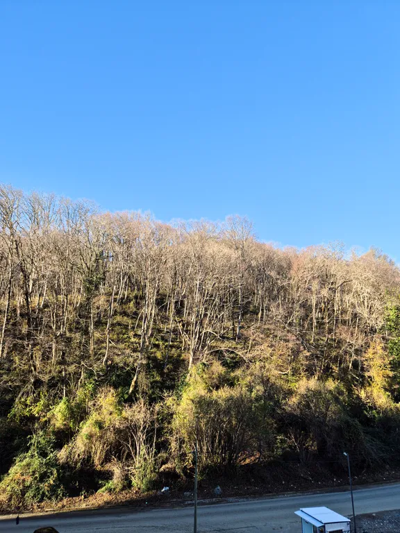 Новая студия в ЖК Летний