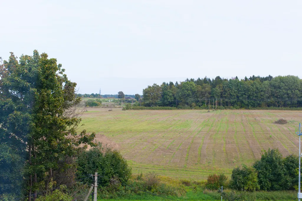 Квартира Квартира Санта — Светлогорск