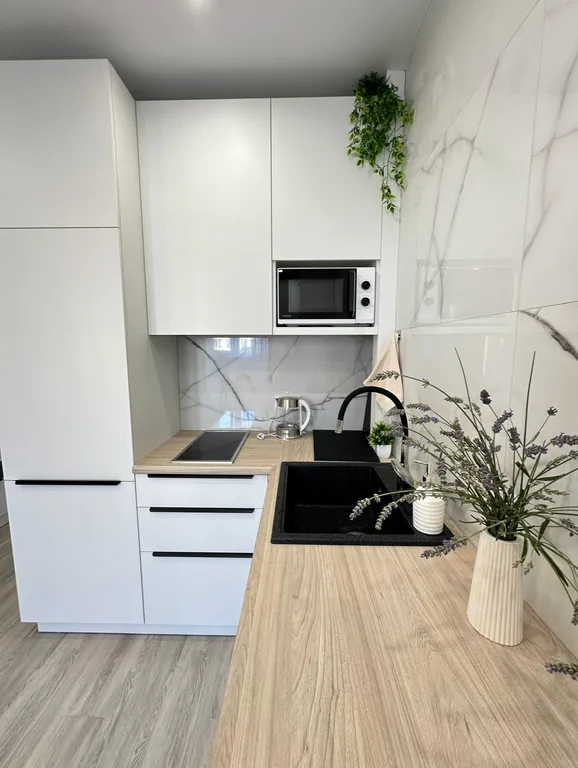 Апартаменты с видом на гору