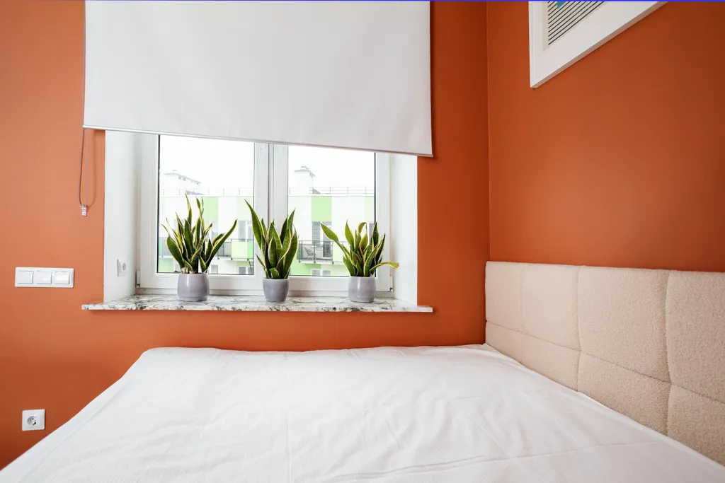 Квартира Квартира Джакузи — Светлогорск