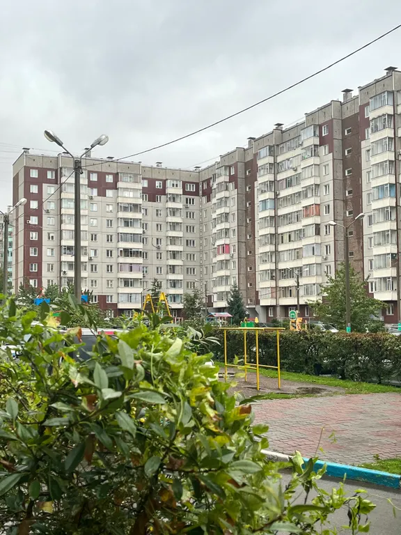 Квартира Уютная квартира от собственника — Красноярск