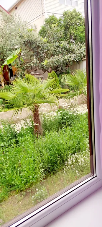 Квартира Квартира первая береговая — Сириус